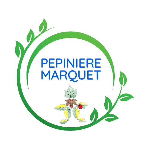 Pépinière Marquet